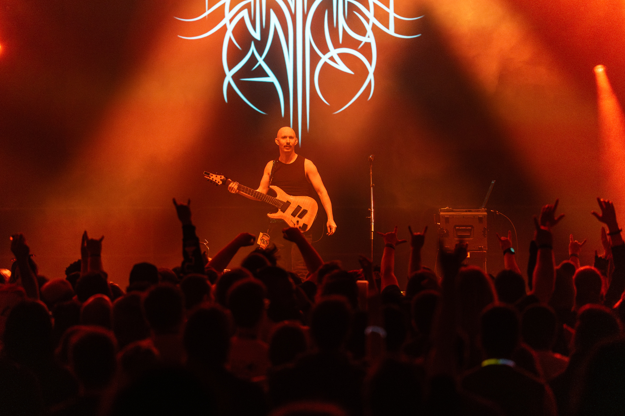 promo picture for Danimal Cannon